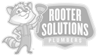 Cartoon raccoon plumber holding plunger next to Rooter Solutions Plumbers logo.